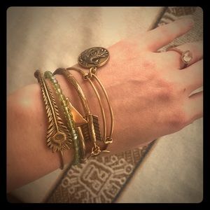 Alex and Ani Warrior Bracelet stack
